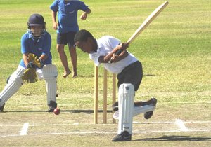 Tjokkers swaai wilgerlat